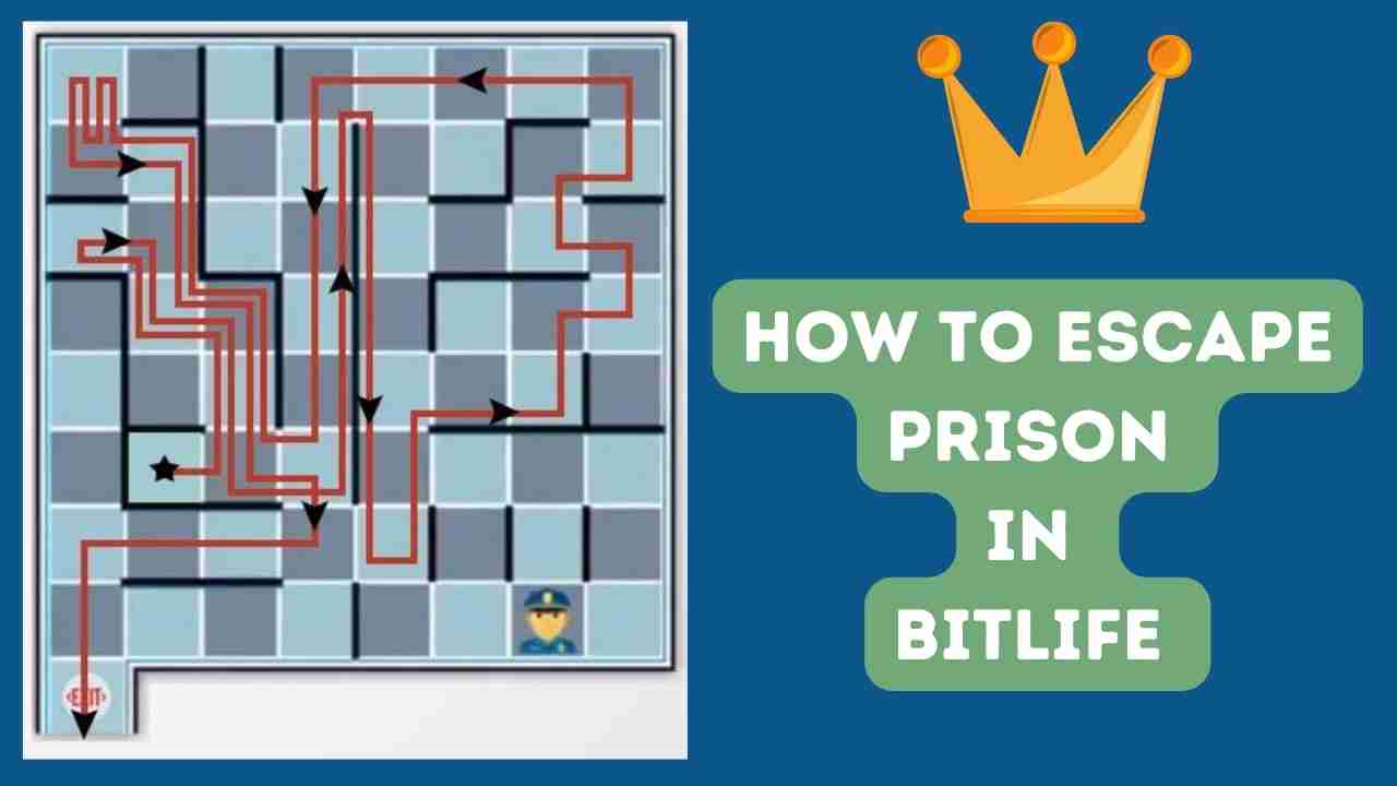 Escape prison bitlife - poptyred