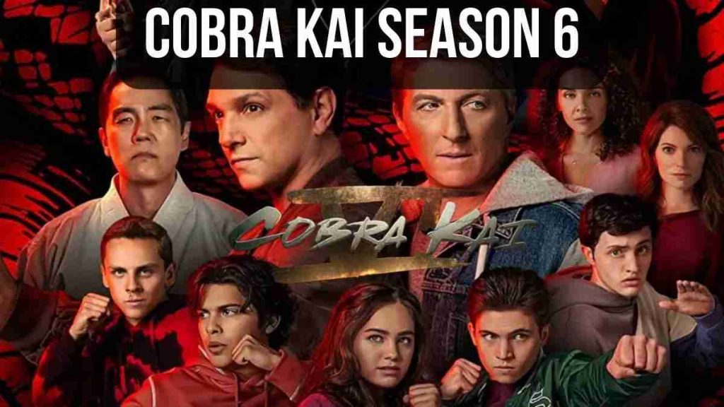 Cobra Kai Season 6 Netflix Renews Final Season
